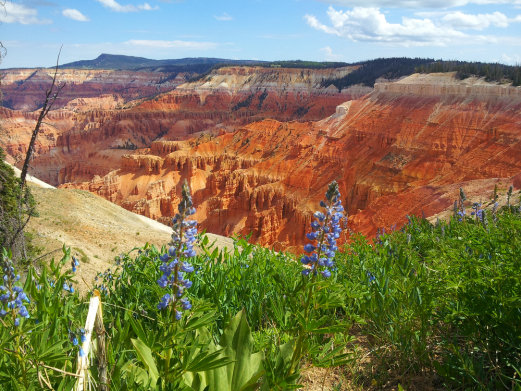 Duck Creek Area - Strawberry Point